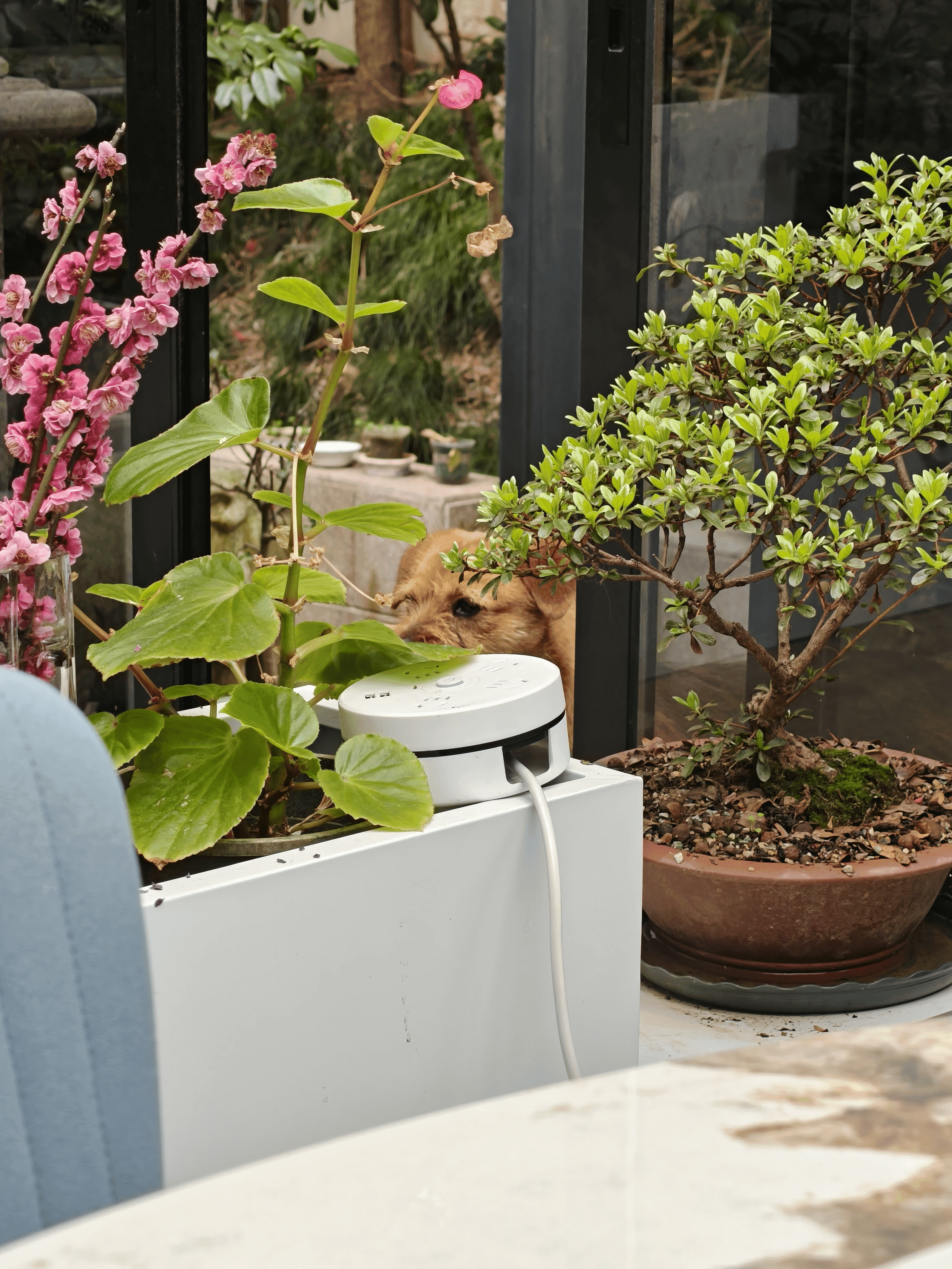 image-20250312194636284