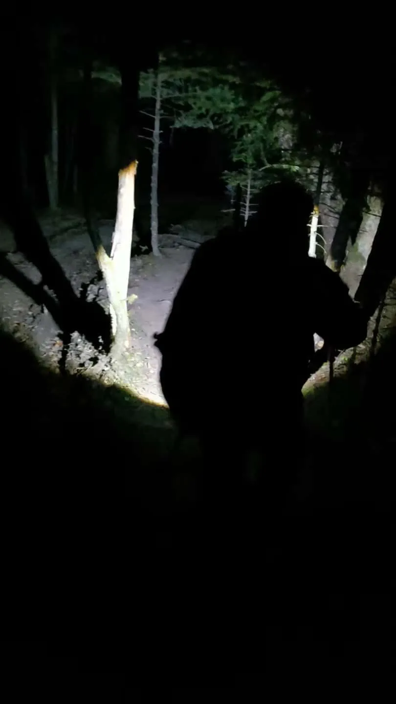 1490f23f9043ed368f5f88ff8e6c620b