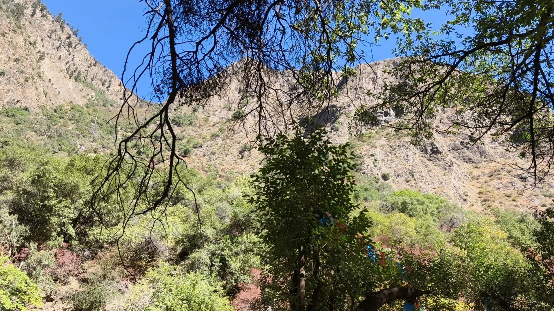 1cd044f095cadba467b9d77ec5096ffb