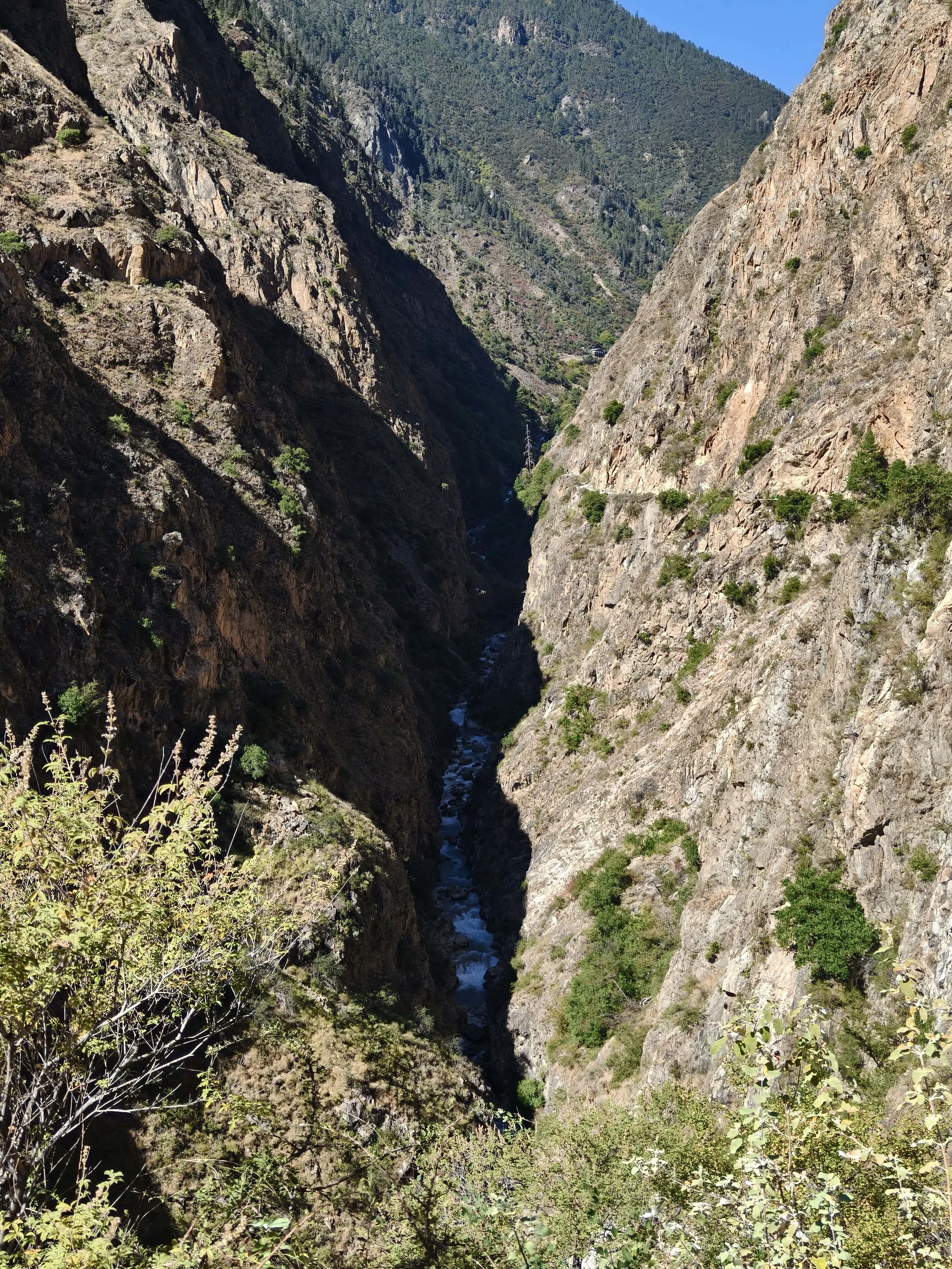 1e3903671e99f02a3a3c21479b62c799