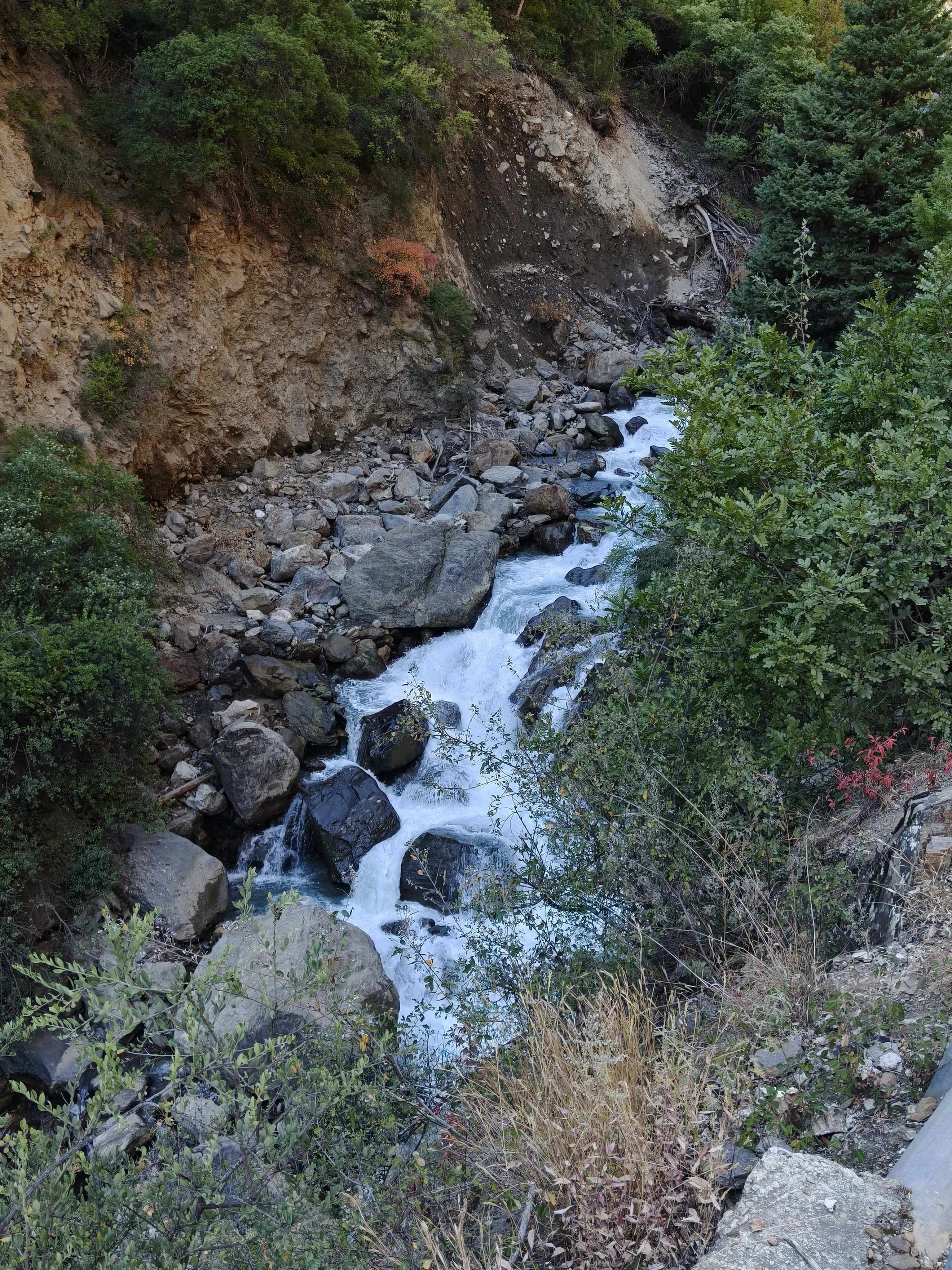 43fb74fef1d9f5b4e3b4b9001d046192