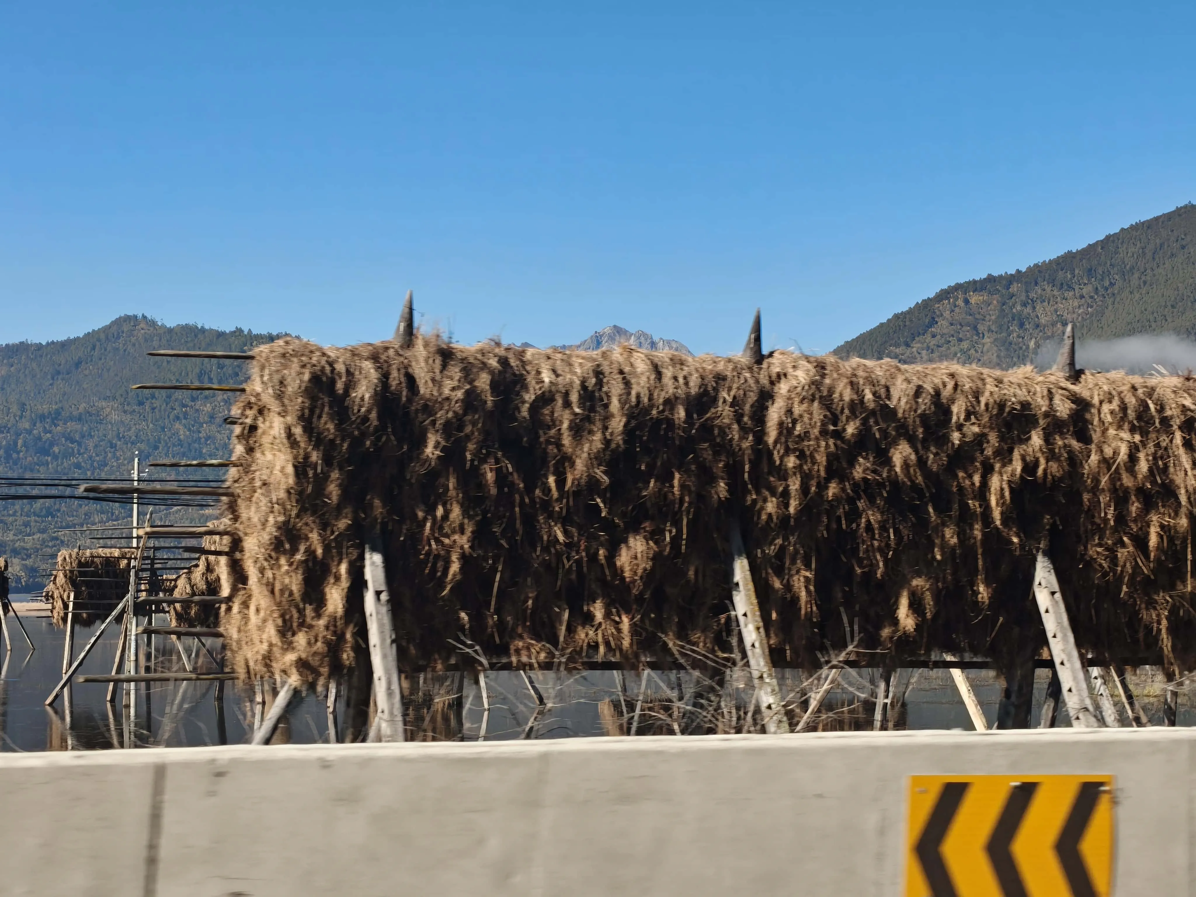 7e95b385b78e54a1f6c84aa2ee9090b0