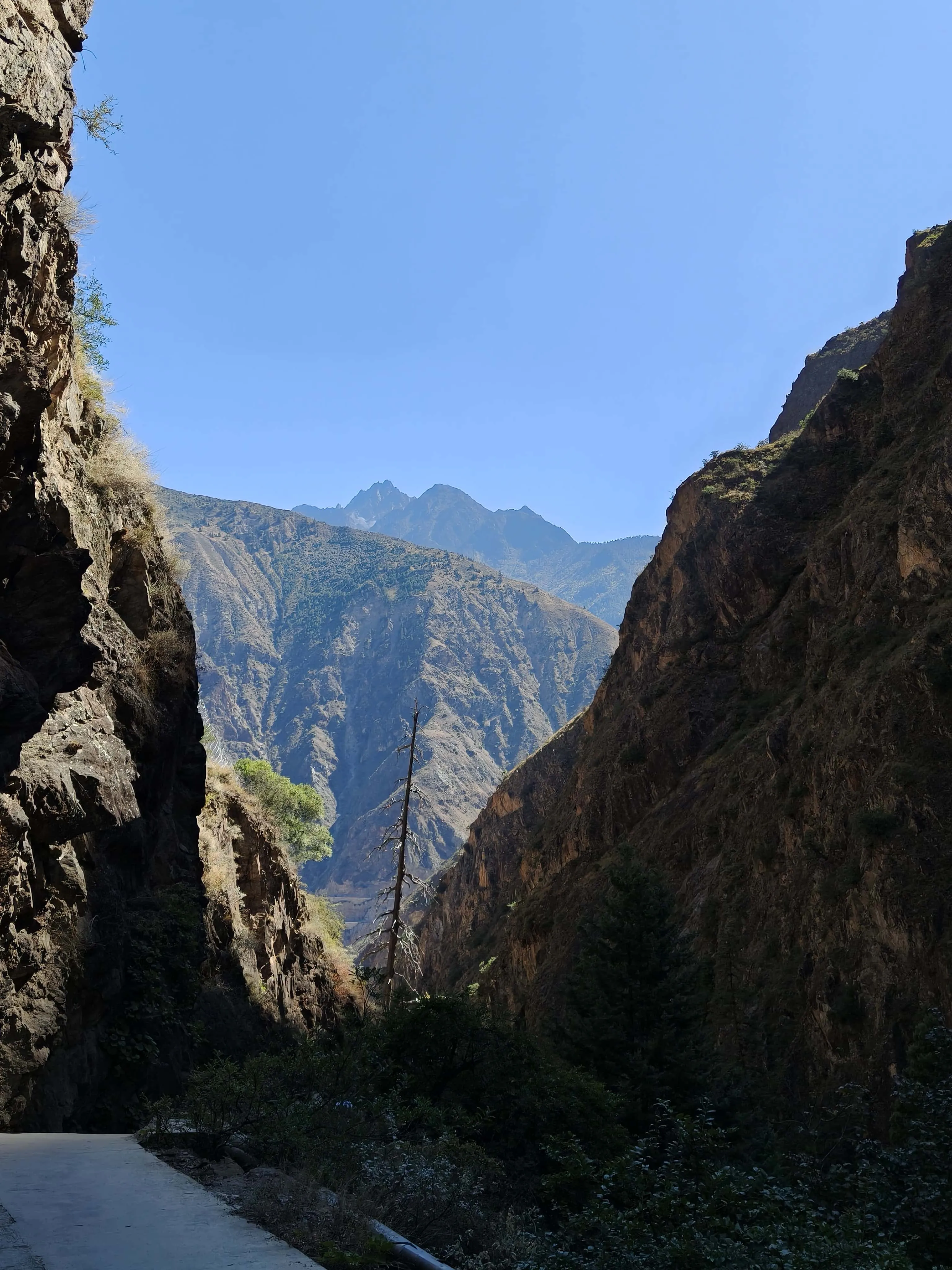 8af520e15dcd6cff71f20b7e683cbe0f