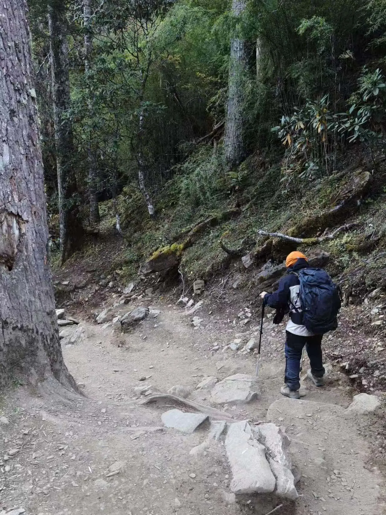 9e0bfa30c8f6aac6797e0a96e8e55d86