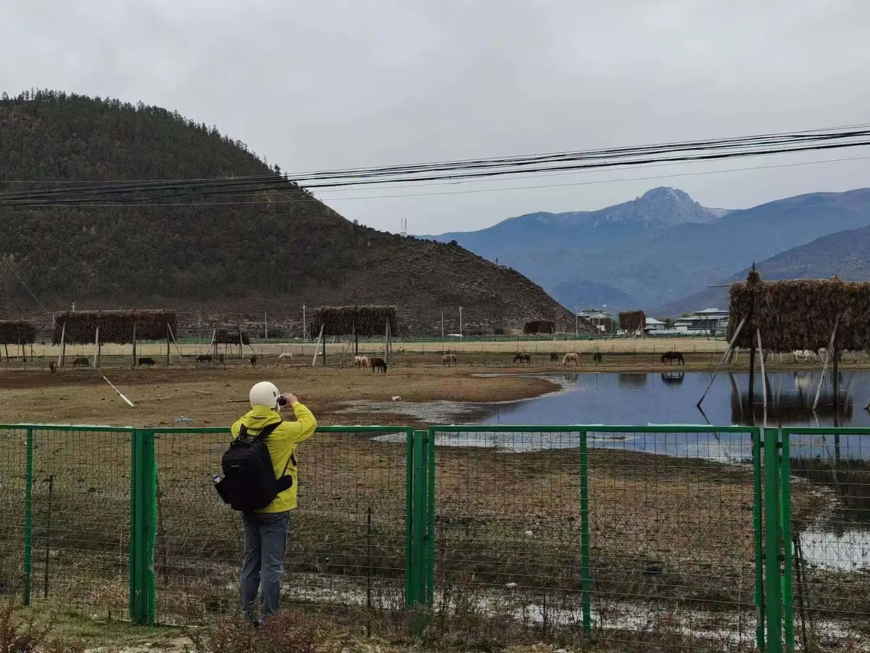 b3cc500fccc78aede792782f8096ced1