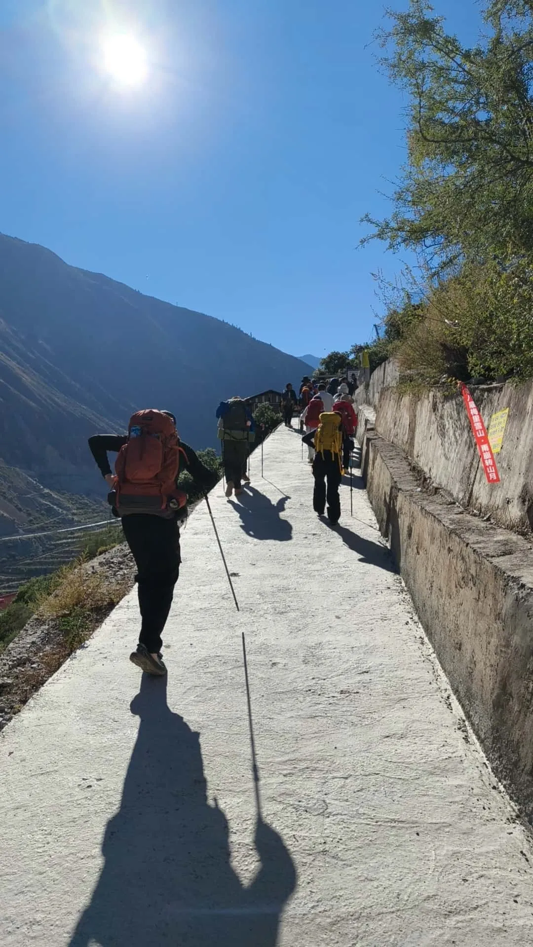 ded28f7e1d21c65c2682ef5e6433fa28