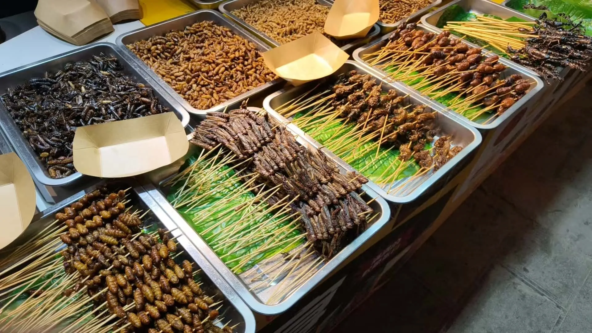 f2fc125294f965add3a1b812cb7224f6